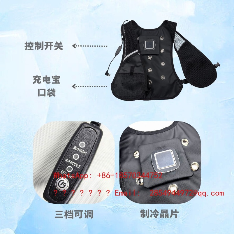夏用防護服冷却熱中症ベスト半導体冷却アウトドアサイクリング登 - Fishing Vest のレビューと価格