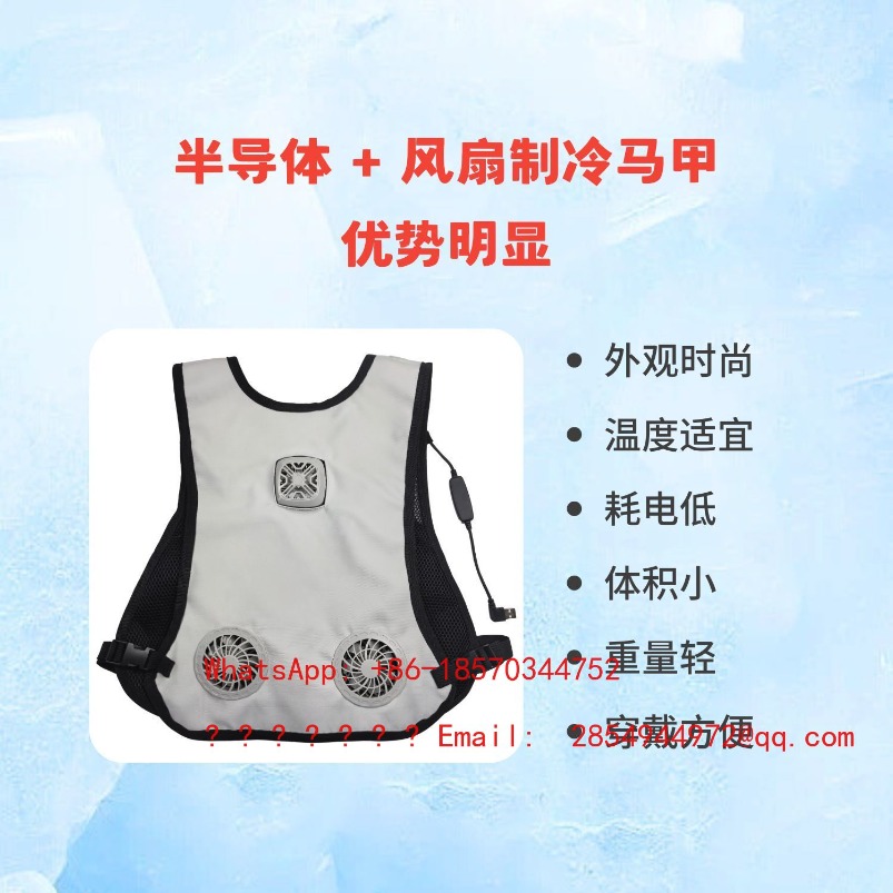 夏用防護服冷却熱中症ベスト半導体冷却アウトドアサイクリング登 - Fishing Vest のレビューと価格